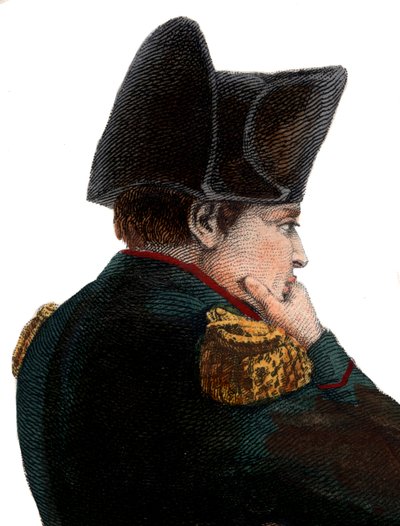 Retrato de Napoleón I (1769-1821) en la isla de Santa Elena de French School